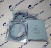 Bently Nevada 21504-000-008-10-02 probe 7200 series 215040000081002 (RQANS1)