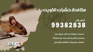 نجار الكويت 55566392 رقم نجار الكويت فك وتركيب نجار الكويت