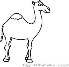 Standing bactrian camel vector silhouette isolated on white. 1024 X 768 21 Camel Cartoon Png Black And White Clipart Full Size Clipart 5498604 Pinclipart