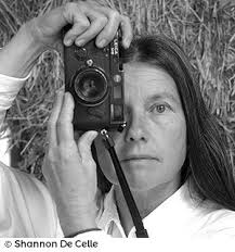 The Photographers — Postcards from Forever