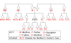 66 Paradigmatic Kinship Diagram Example