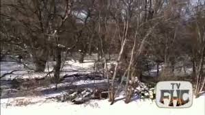 Chainsaws, splitters, tractors and trucks. Firewood Hoarders Club Youtube