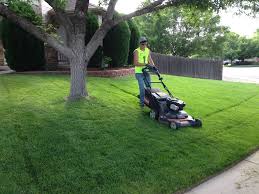 Maybe your good taste in landscaping exceeds your ability to tend to it personally. Happy Roots Lawn Mowing Service Happy Roots Lawn Care