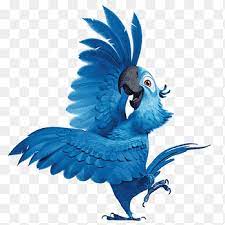 Rio bird, hornbill macaw parrot vulture wing, Rio2 Rafael 3, fauna, bird  png | PNGEgg