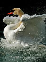 Sin streets gratis en tu pc, sin limitaciones. Apple Ipad Air 2 Bakgrunn 1536x2048 Bakgrunnsbilde Free 187