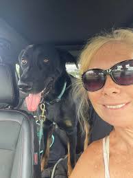 Theo is a Pyrenees hound mix, who else has Pyrenees'? 😭