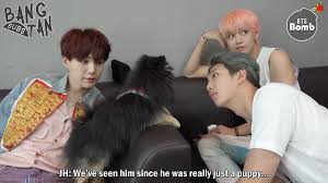 Bangtan bomb) sind kurze videos, in denen die sieben mitglieder von bts hinter den kulissen z. Video Archive Bts Trans Bangtansubs