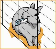 100% natural pure salt block on rope for horses, deer, goats, rabbits, cattle and livestock ? Salt Licks For Rabbits