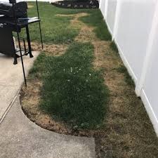 I would recommend them, especially if you can respect their generosity! Emerald Magic Lawn Care 48 Photos Landscaping 194 Morris Ave Holtsville Ny Phone Number