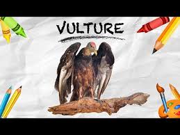 How To Pronounce Vulture ग द ध Pronunciation In Hindi Birds Hd Lehren Kids Youtube