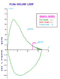 Interpreting Pulmonary Function Test