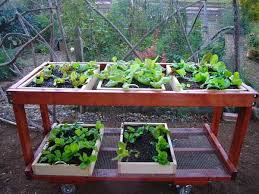 16 Diy Salad Table Ideas To Get Fresh Salad With Little Garden Space In 2020 Growing Vegetables In Containers Organic Container Gardening Growing Vegetables