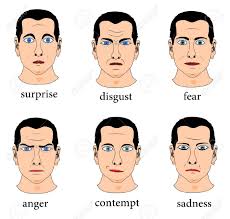 Expressions of contempt and disgust activated a network of brain regions, including contemptuous faces did not elicit stronger amygdala activation than did disgusted expressions. Face Expression Royalty Free Cliparts Vectors And Stock Illustration Image 15242544