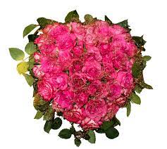 obraz zdarma na pixabay kvetiny kytice ruze izolovany 季節の生花種類 バラ 花束