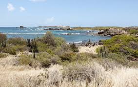 A isla d'a martinica ye una rechión y departamento d'ultramar francés situato a o norte de trinidad y tobago, en auguas d'a mar caribe. Libre De Regalias Martinica Isla Fotos Descarga Gratuita Piqsels