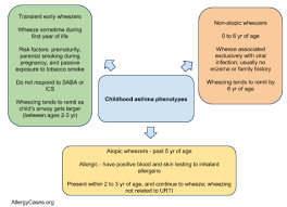 Allergy Notes No Effect From Montelukast On Respiratory Symptoms And Lung Function In Wheezy Infants Allergies Respiratory Allergy Medication