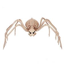 Fantasy Bone Skeleton Animals For Horror Halloween Decoration Halloween Skeletons Animal Skeletons Skeleton Decorations