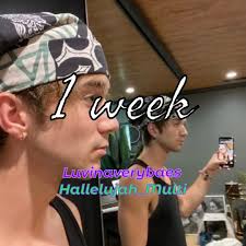 Something happened again! It was honestly one of the most incredible shows.  I loved meeting sombr, Kyle and Daniel. Kyle waving at me, Sal smiling at  me after I waved at him