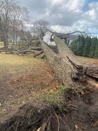 Moreno landscape llc offers landscaping and lawn maintenance services for residential and commercial projects across marietta, cumming, dallas, atlanta, doraville, ga. Moreno Lawn Care Home Facebook