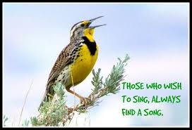 Birds Of Western Washington State Western Meadowlark In Washington State Swedishproverb Meadowlark Singing Quote Saddle Rock Photo