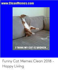 Check spelling or type a new query. Wwwcleanmemescom I Think My Cat Is Broken Funny Cat Memes Clean 2018 Happy Living Funny Meme On Me Me