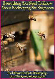 Birds Do It Bees Do It Lyrics Bees Agriculture Pollination Bee Keeping Backyard Beekeeping Backyard Bee