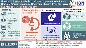 Through a group health plan? A Systematic Review Of Renal Pathology In Chronic Kidney Disease Of Uncertain Etiology Kidney International Reports