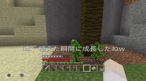 マイクラ】ジャングルの木の苗木とココアビーンズを植えてみました（マインクラフトＰＳ４版） | *・.☆.・*＊ふわりりマインクラフト＊*・.☆.・*