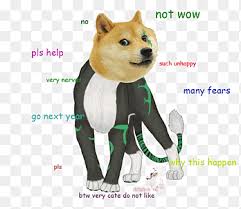 This is a diverse group of 14 progressive candidates who will fight for our values within the democratic party. Shiba Inu Dog Breed Jamaica National Bobsled Team Non Sporting Group Dogecoin Doge Carnivoran Dog Like Mammal Png Pngegg