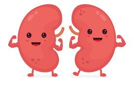 Pin On Renal Failure