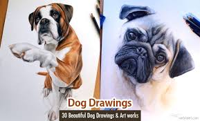 Understand the principles of drawing pug dogs with ink liners better with this detailed tutorial from eugenia hauss. 15 Realistic Dog Drawings And Artworks From Famous Artists