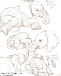 Pin By Kelli Steuber On Desenhos Animal Drawings Sketches Animal Sketches Elephant Line Drawing