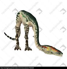 Andy travels back 127 million years to the time of. Dinosaurier Coelophysis 3d Wiedergabe Auf Weiss Lizenzfreies Bild 19843699 Bildagentur Panthermedia