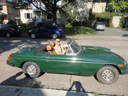 Image result for Brooklands Green 1976 MG