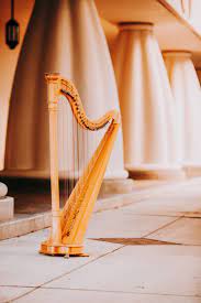 Florida Harpist Harp Photography Music Luxury Fashion Dress Style Lyon Healy Harps Music Harp Wedding Dance Music