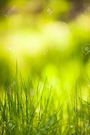 Picsart Nature Green Background Hd Free for commercial use no attribution required high quality images. motogp 2019 2020 results news blogger