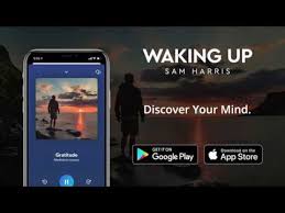 For questions, concerns, and comments about the waking up meditation app. The Waking Up Course A Lesson On Gratitude Youtube