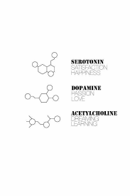 Molecular Dump Serotonin Tattoo Trendy Tattoos Body Art Tattoos