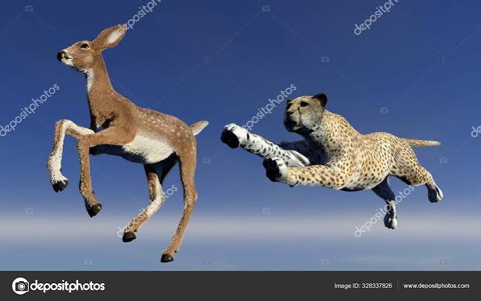Cheetah Hunting Antelope Illustration — Stock Photo © SergeiD #328337826