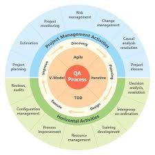 Qa Processes Business Management Degree Project Management Professional Management Infographic