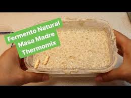 Masa Madre O Fermento Natural Thermomix Youtube En 2020 Recetas De Tarta De Queso Masa Madre Comida Casera