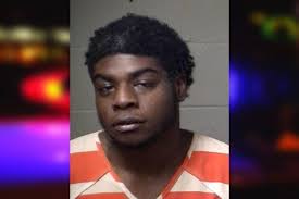 Dale Baldwin — Paulding County Jail Bookings