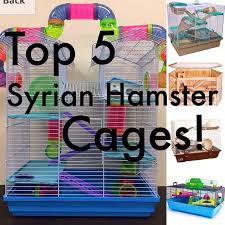 Best Cages For A Syrian Hamster In 2020 Syrian Hamster Cool Hamster Cages Syrian Hamster Cages