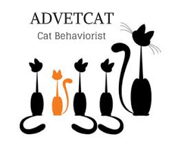 Check spelling or type a new query. Pet Resources Meow Cat Sitting Asheville Pet Sitting Service For Cats