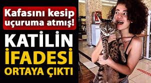 Emlakçı mustafa murat ayhan gözaltında.pic.twitter.com/8gn8jd4zvf. 7oavdmcjlbsxwm