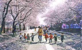 Korea memiliki empat musim, yaitu musim hujan dan musim panas di pertengahan tahun, dan musim dingin dari bulan november sampai bulan maret. 10 Festival Musim Semi Di Korea Yang Wajib Kamu Datangi