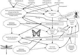 Topten.hotdeals.com has been visited by 100k+ users in the past month Stable Isotope Ecology In Insects A Review Quinby 2020 Ecological Entomology Wiley Online Library