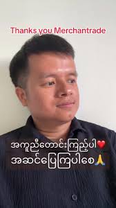 Discover Merchant Trade Insights Today