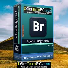 Press the space key to preview files like in finder.app without explicitly downloading. Adobe Bridge 2021 Free Download Macos Download Latest Software