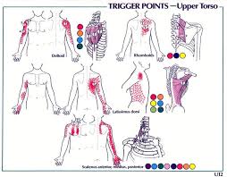 Top 30 Physiotherapy In Singapore Physiotherapy Physio Physiotherapy Clinic